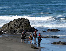 USA-California-Redwood Coast Ride